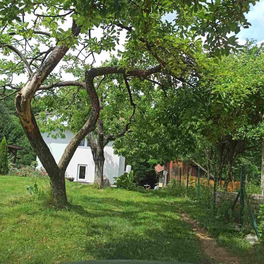 Guest House Bee Visoko Exterior photo