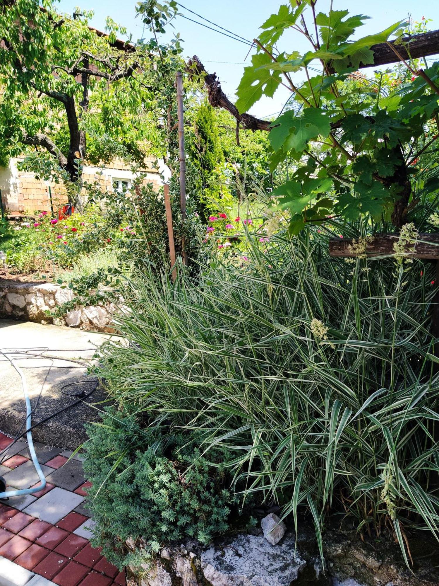 Guest House Bee Visoko Exterior photo