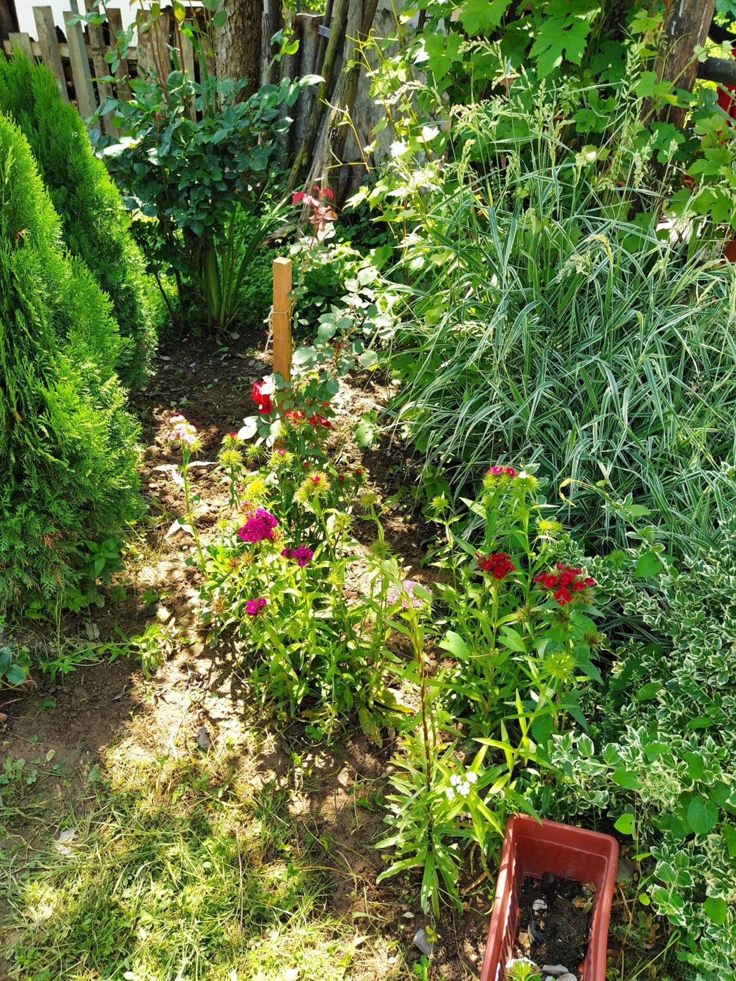 Guest House Bee Visoko Exterior photo