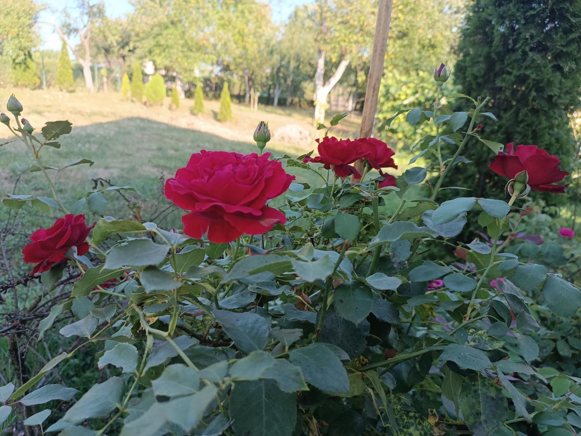 Guest House Bee Visoko Exterior photo